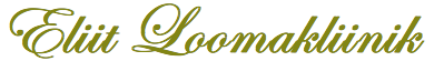 Eliit logo
